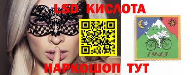 шишки Можга