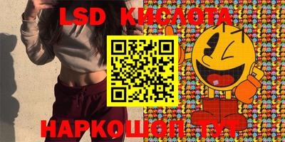 шишки Можга