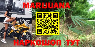 индика Можайск
