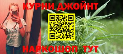 индика Можайск