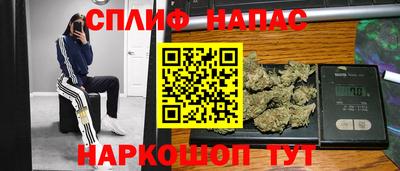 индика Можайск