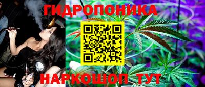 шишки Можга