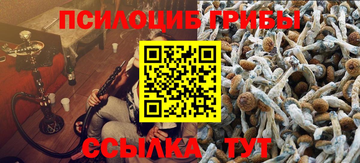 Галлюциногенные грибы мицелий Тихорецк
